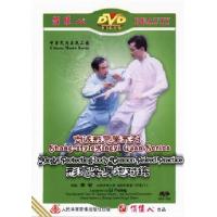 尚派形意拳系列-形意安身炮对练   1DVD