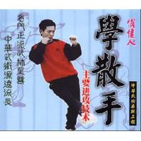 学散手--主要进攻技术   1VCD