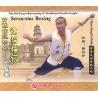 七星拳--少林传统功夫老架捶谱   1VCD
