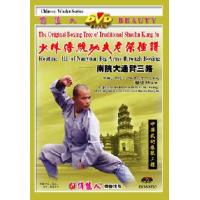 南院大通臂三路--少林传统功夫老架捶谱   1DVD
