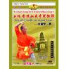 小通臂一路--少林传统功夫老架捶谱   1DVD