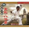 北派少林 五形八法拳   2VCD