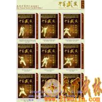 《中华武藏》：陈式太极拳 朱天才系列【共39碟DVD】