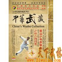 中华武藏 嵩山少林寺拳谱之23 少林二路炮拳   [1DVD]