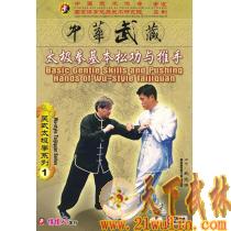 吴式太极拳系列 太极拳基本松功与推手  1DVD  